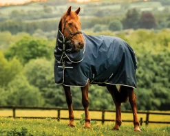 Best HORSEWARE ® Ireland Amigo® Ripstop 900D 200 Grams Plus Pony Turnout
