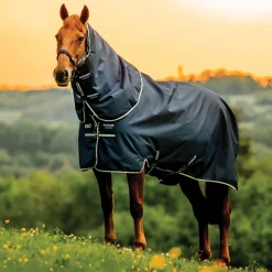 Best HORSEWARE ® Ireland Amigo® Ripstop 900D Plus Turnout Sheet