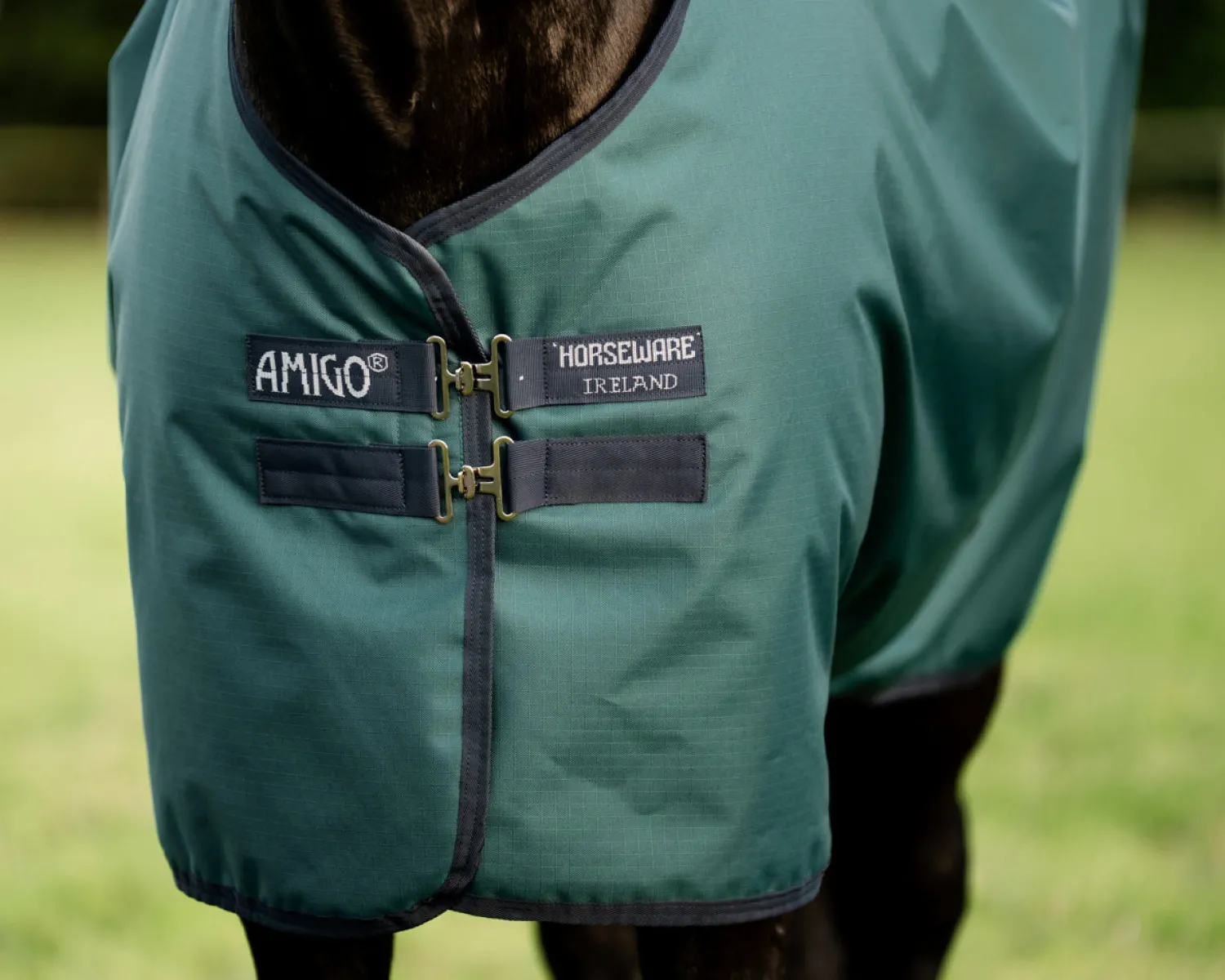 Outlet HORSEWARE ® Ireland Amigo® Ripstop 900D 100 Gram Standard Neck Pony Turnout–Seasonal Color