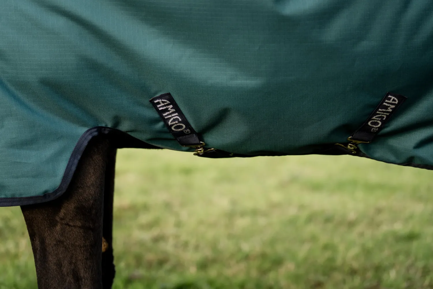 Outlet HORSEWARE ® Ireland Amigo® Ripstop 900D 100 Gram Standard Neck Pony Turnout–Seasonal Color