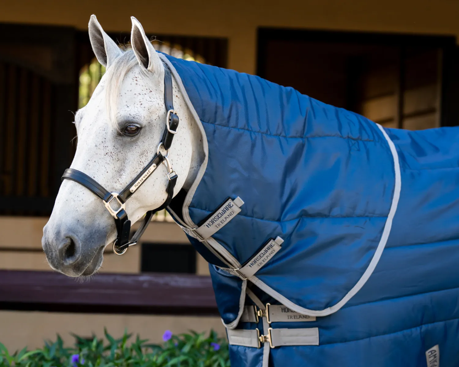 Sale HORSEWARE ® Ireland Amigo® Ripstop Insulator Stable Plus Blanket - 200G
