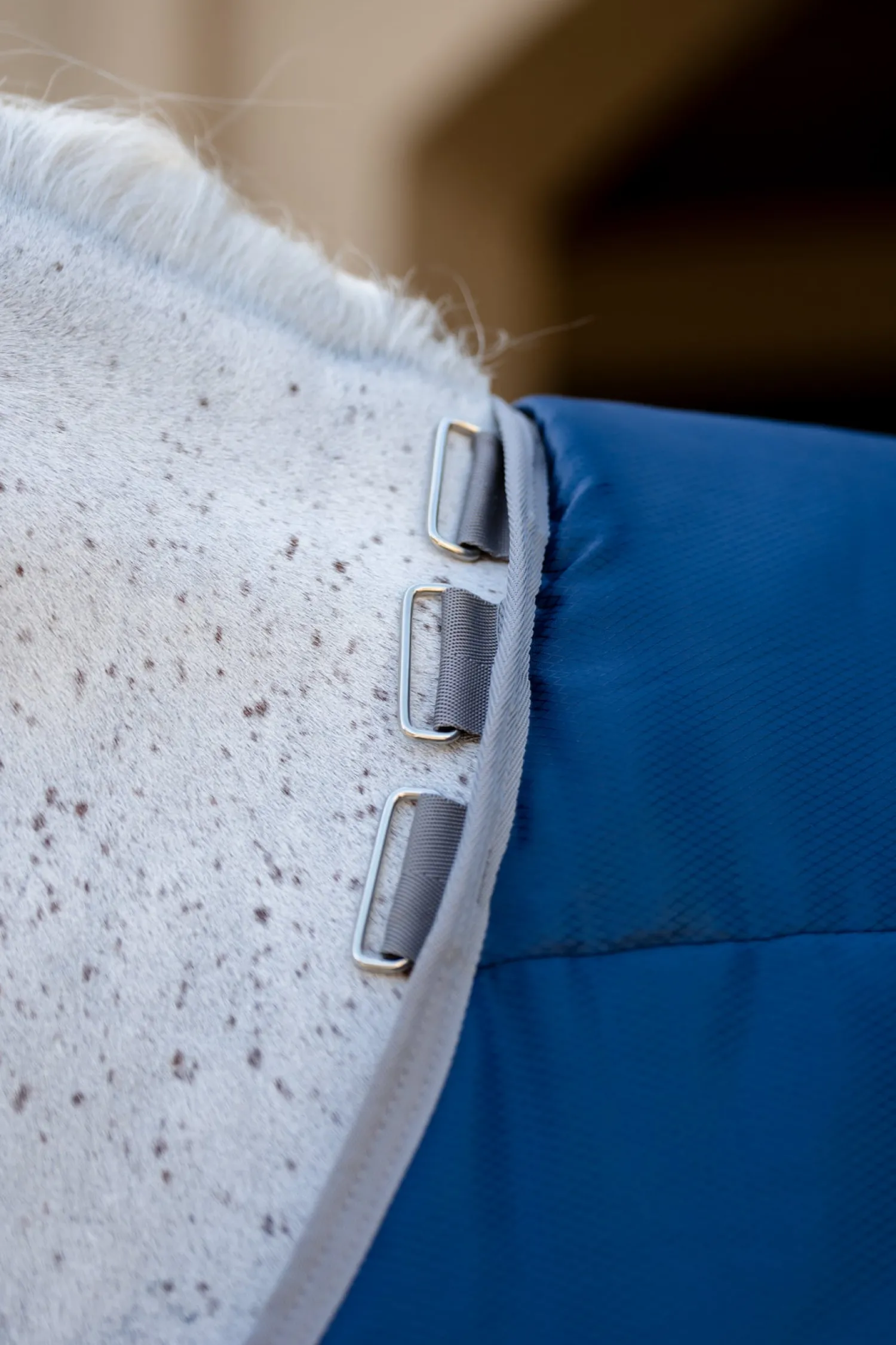 Sale HORSEWARE ® Ireland Amigo® Ripstop Insulator Stable Plus Blanket - 200G