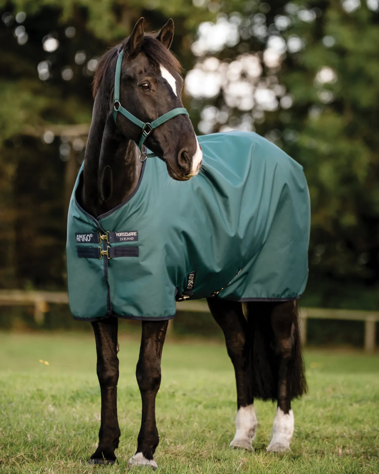 Sale HORSEWARE ® Ireland Amigo® Ripstop 900D Standard Neck Turnout Sheet