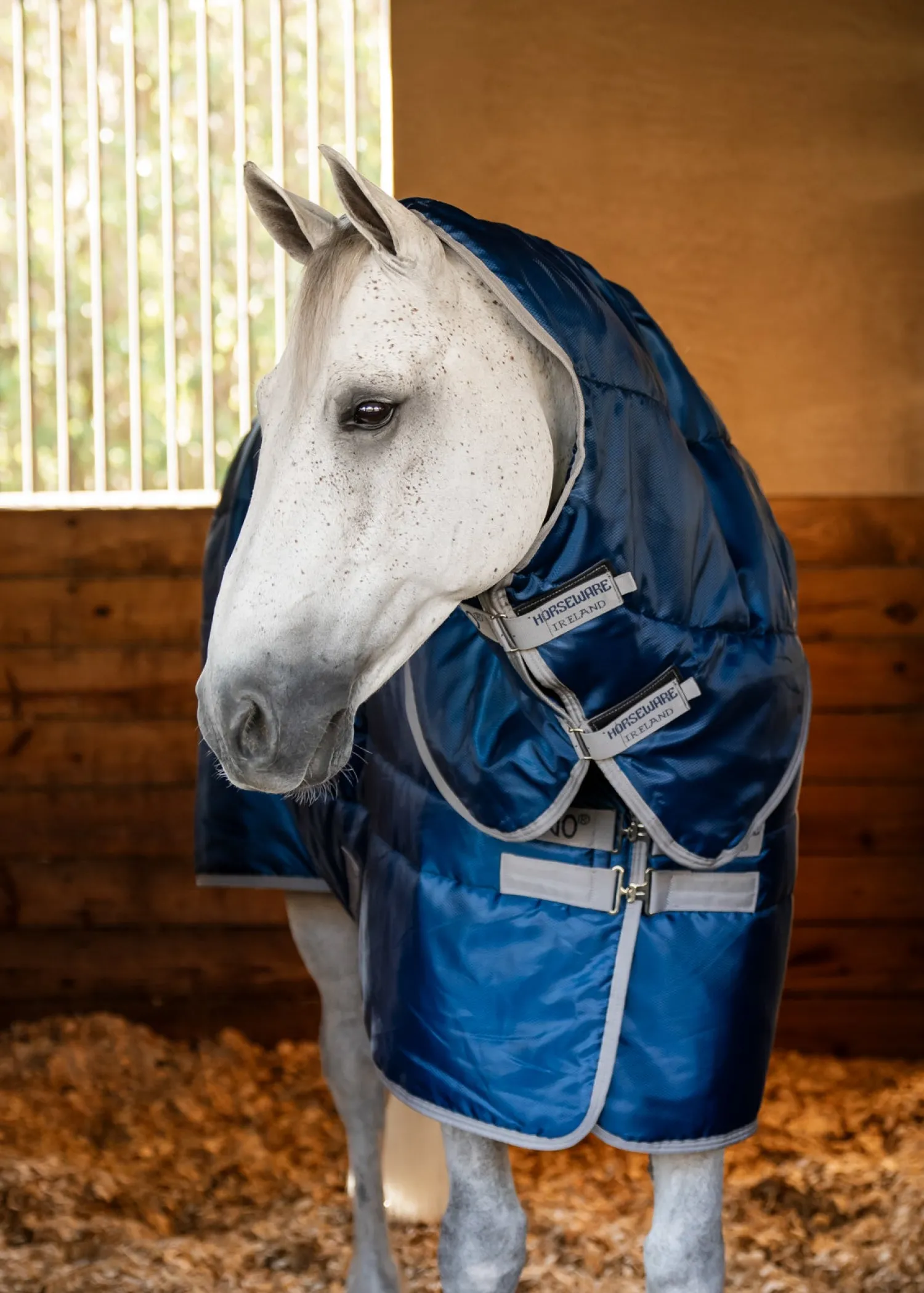 New HORSEWARE ® Ireland Amigo® Ripstop Insulator Stable Plus Blanket- 550G Navy/Titanium Grey