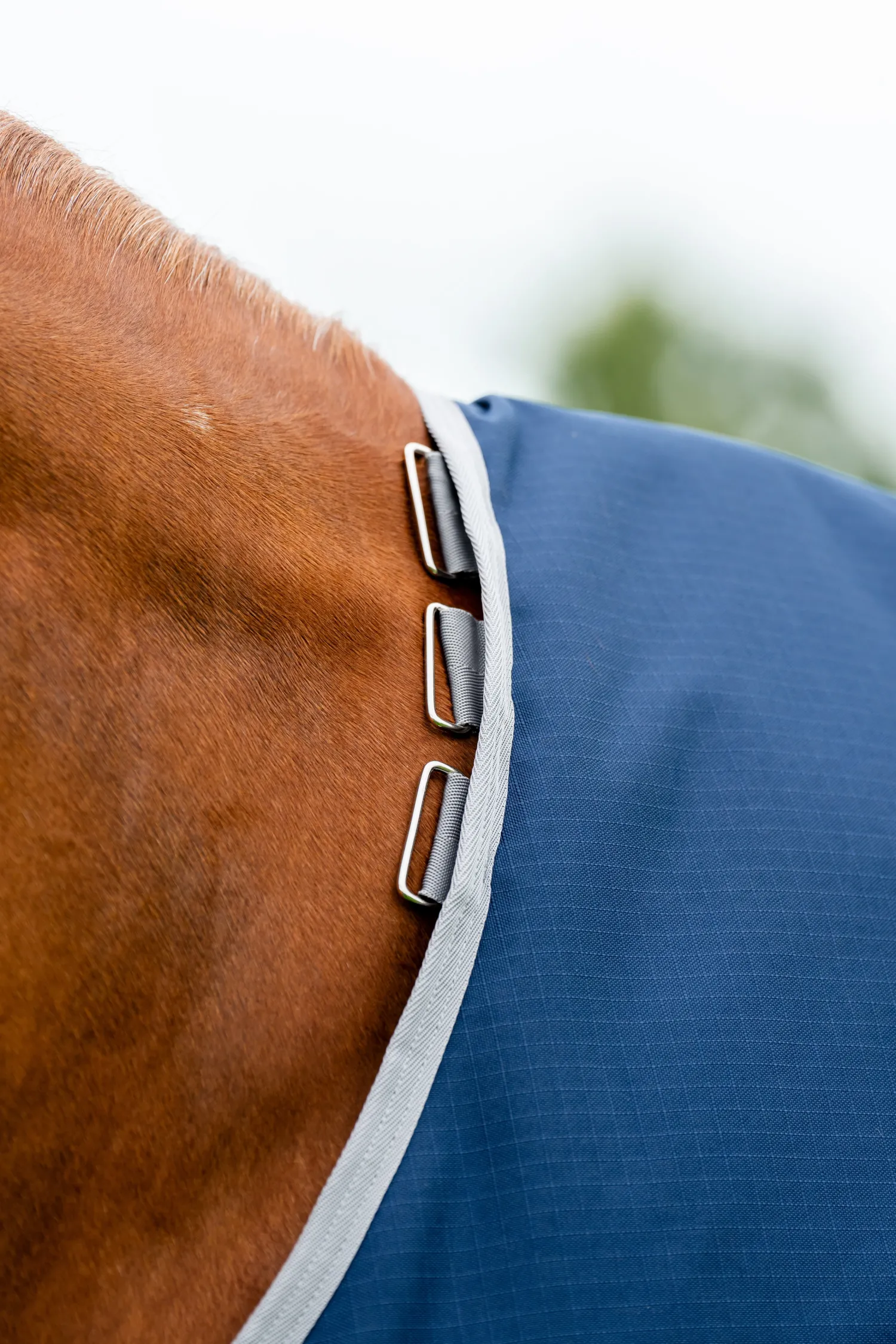 HORSEWARE ® Ireland Amigo® Ripstop 900D 100 Gram Standard Neck Turnout