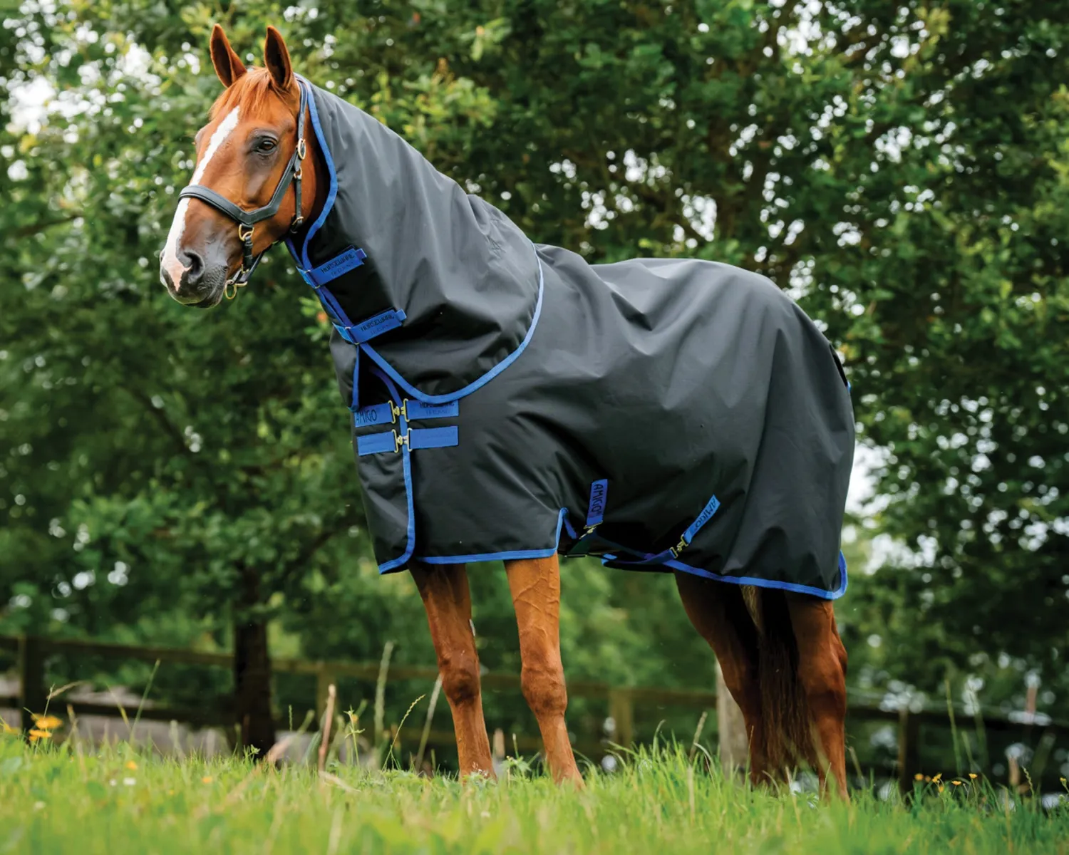 Clearance HORSEWARE ® Ireland Amigo® Ripstop 900D Plus Turnout Sheet