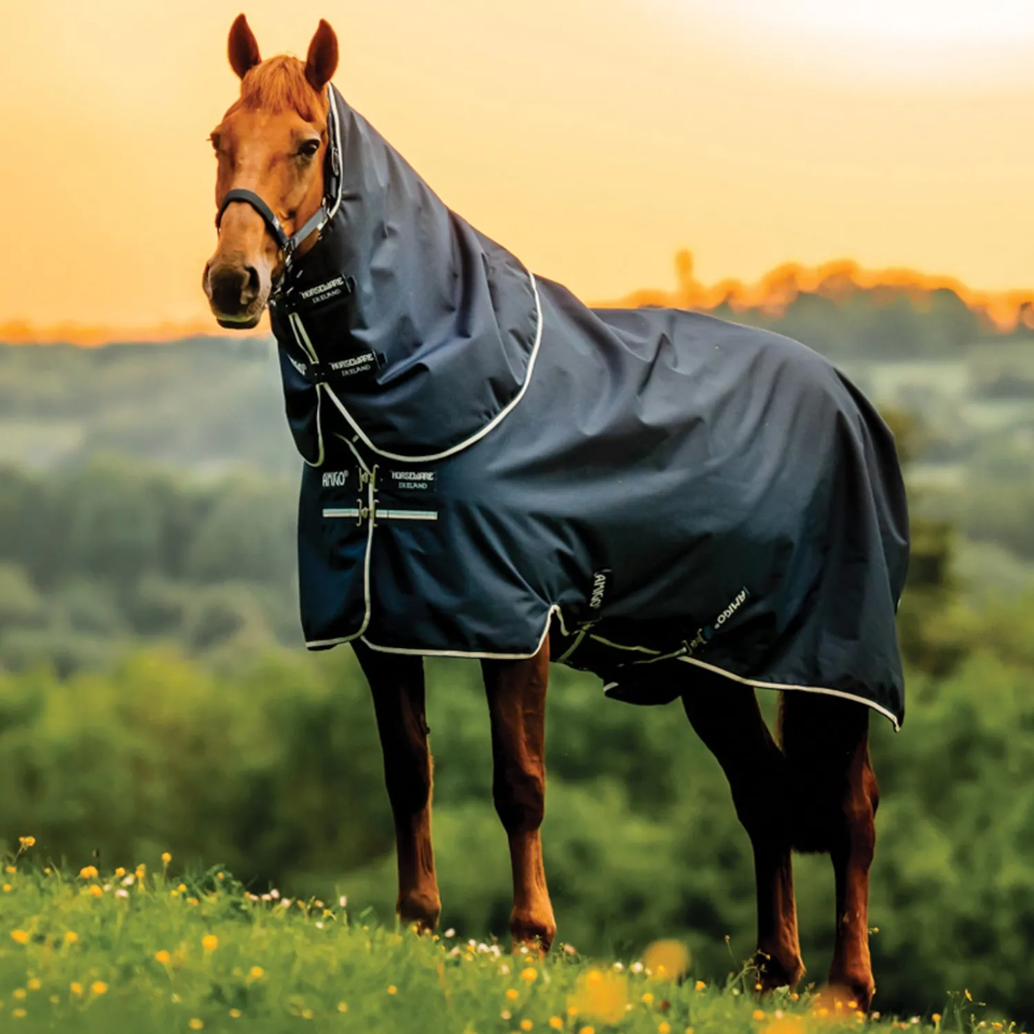 Clearance HORSEWARE ® Ireland Amigo® Ripstop 900D 100 Gram Plus Turnout