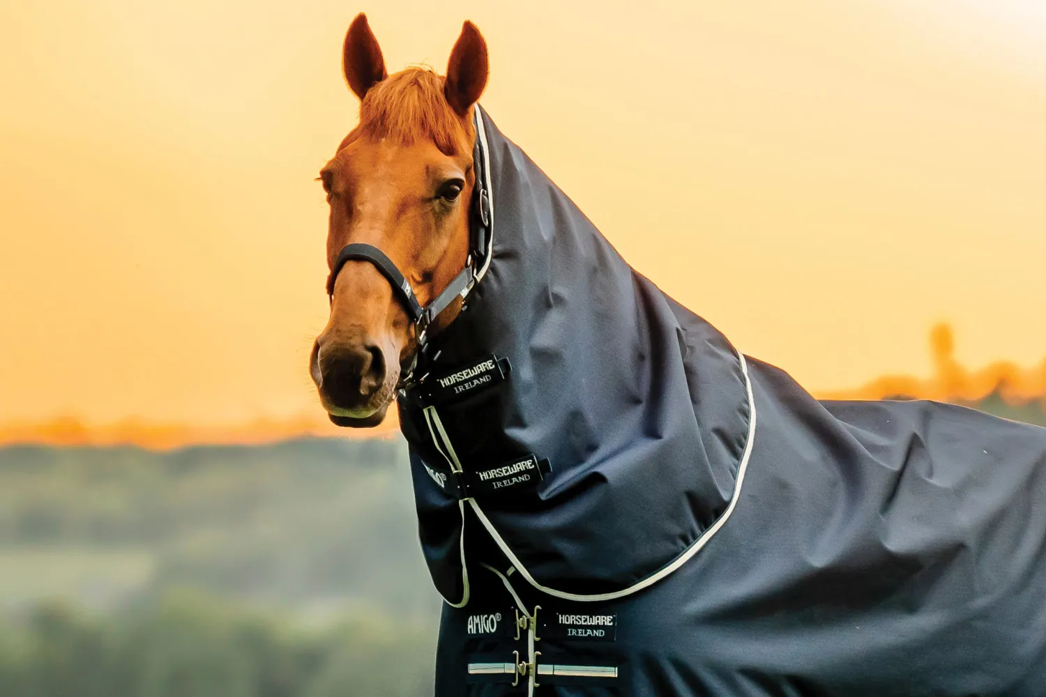 Clearance HORSEWARE ® Ireland Amigo® Ripstop 900D 100 Gram Plus Turnout