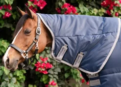 Online HORSEWARE ® Ireland Amigo® Ripstop Insulator Stable Pony Plus Blanket - 200G Navy/Titanium Grey