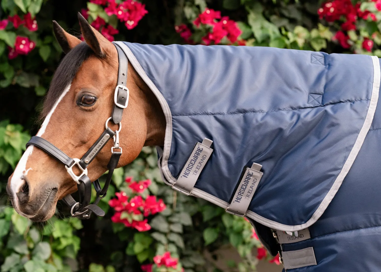 Online HORSEWARE ® Ireland Amigo® Ripstop Insulator Stable Pony Plus Blanket - 200G Navy/Titanium Grey
