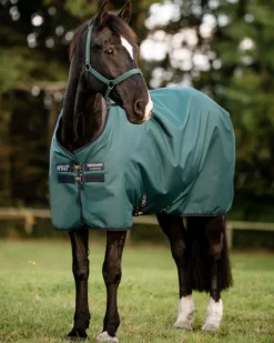 Outlet HORSEWARE ® Ireland Amigo® Ripstop 900D 200 Gram Standard Neck Pony Turnout–Seasonal Color