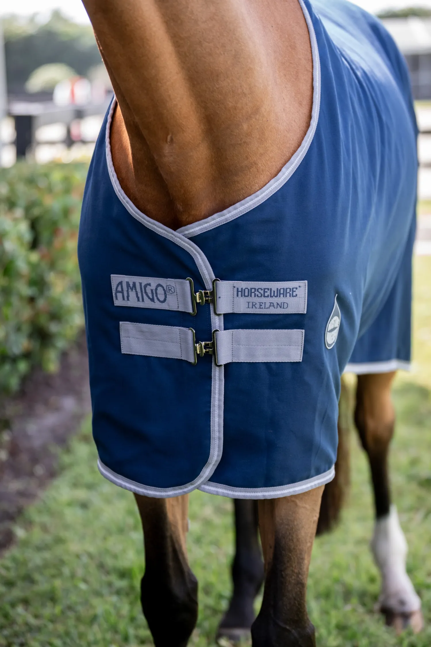 Clearance HORSEWARE ® Ireland Amigo® Stable Sheet–Core Color Navy/Titanium Grey/Silver