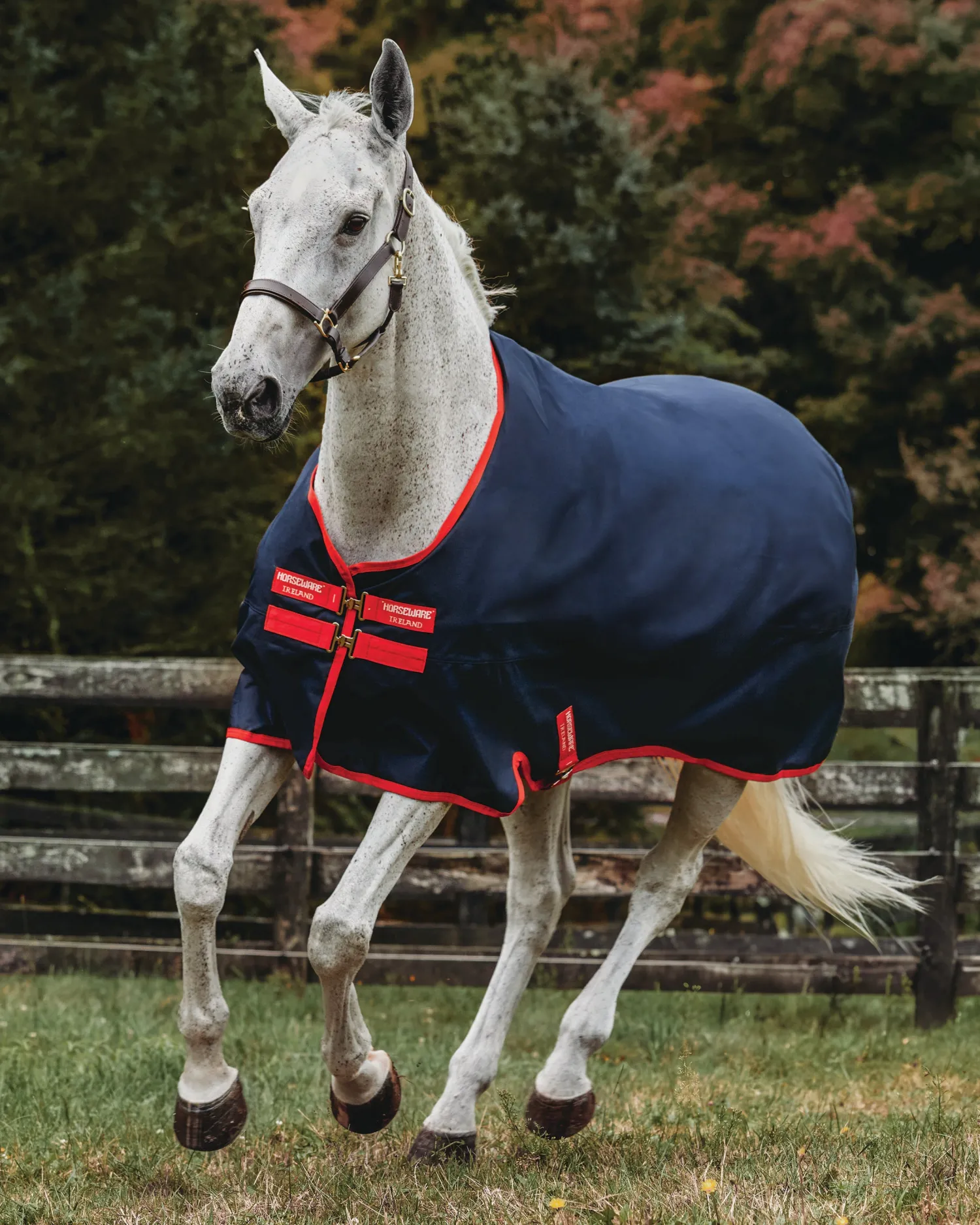 Sale HORSEWARE ® Ireland Exclusive 600D 0 Gram Ripstop Turnout Sheet Navy/Red