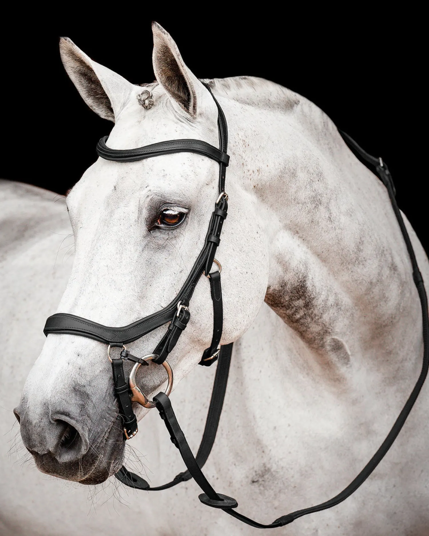 Sale HORSEWARE ® Ireland Micklem2 Competition Bridle with Reins
