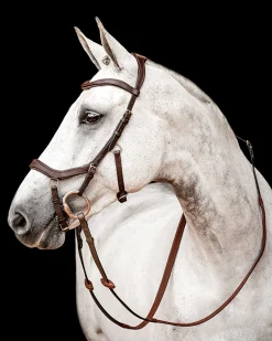 Sale HORSEWARE ® Ireland Micklem2 Competition Bridle with Reins