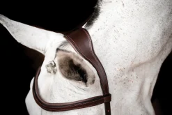 Sale HORSEWARE ® Ireland Micklem2 Competition Bridle with Reins