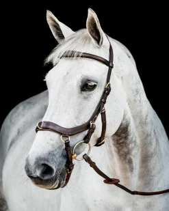 Online HORSEWARE ® Ireland Micklem2 Multibridle USA with Reins