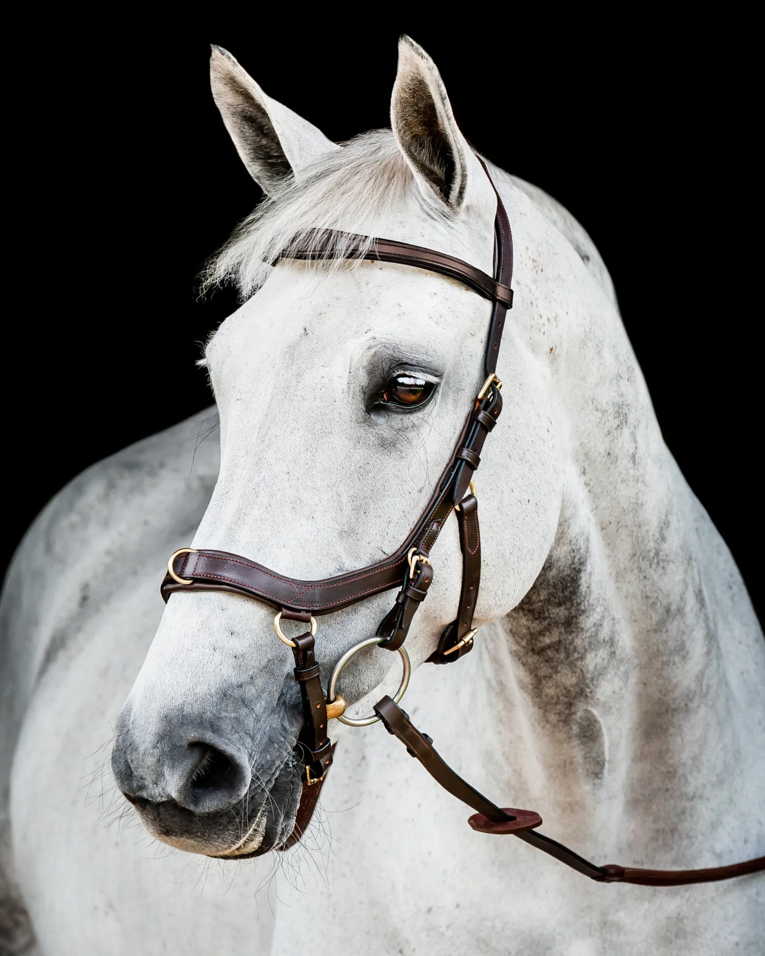 Online HORSEWARE ® Ireland Micklem2 Multibridle USA with Reins