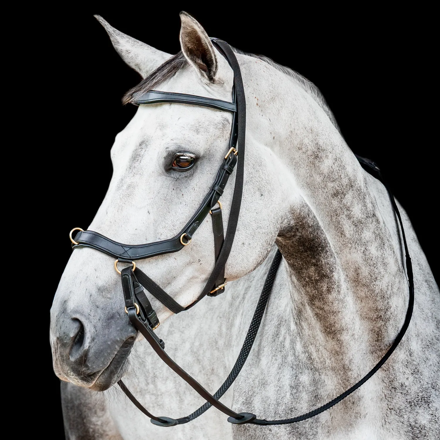 Online HORSEWARE ® Ireland Micklem2 Multibridle USA with Reins