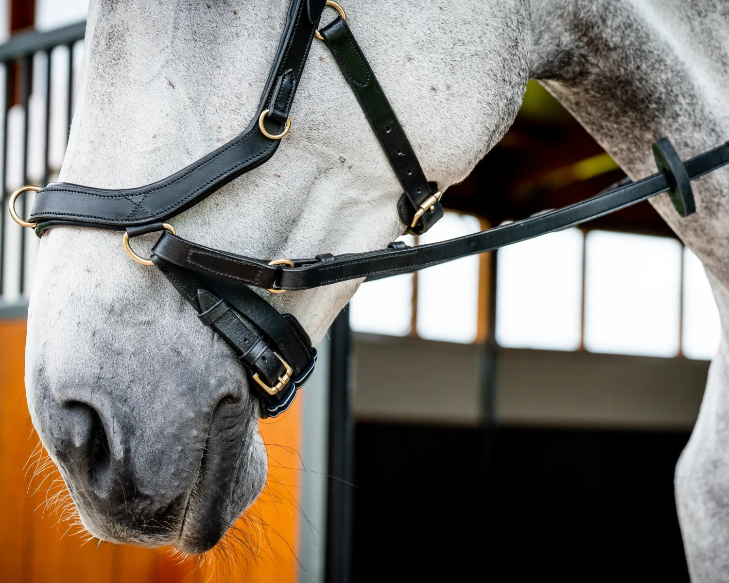 Online HORSEWARE ® Ireland Micklem2 Multibridle USA with Reins