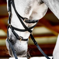 Online HORSEWARE ® Ireland Micklem2 Multibridle USA with Reins