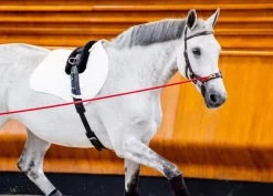 Online HORSEWARE ® Ireland Micklem2 Multibridle USA with Reins