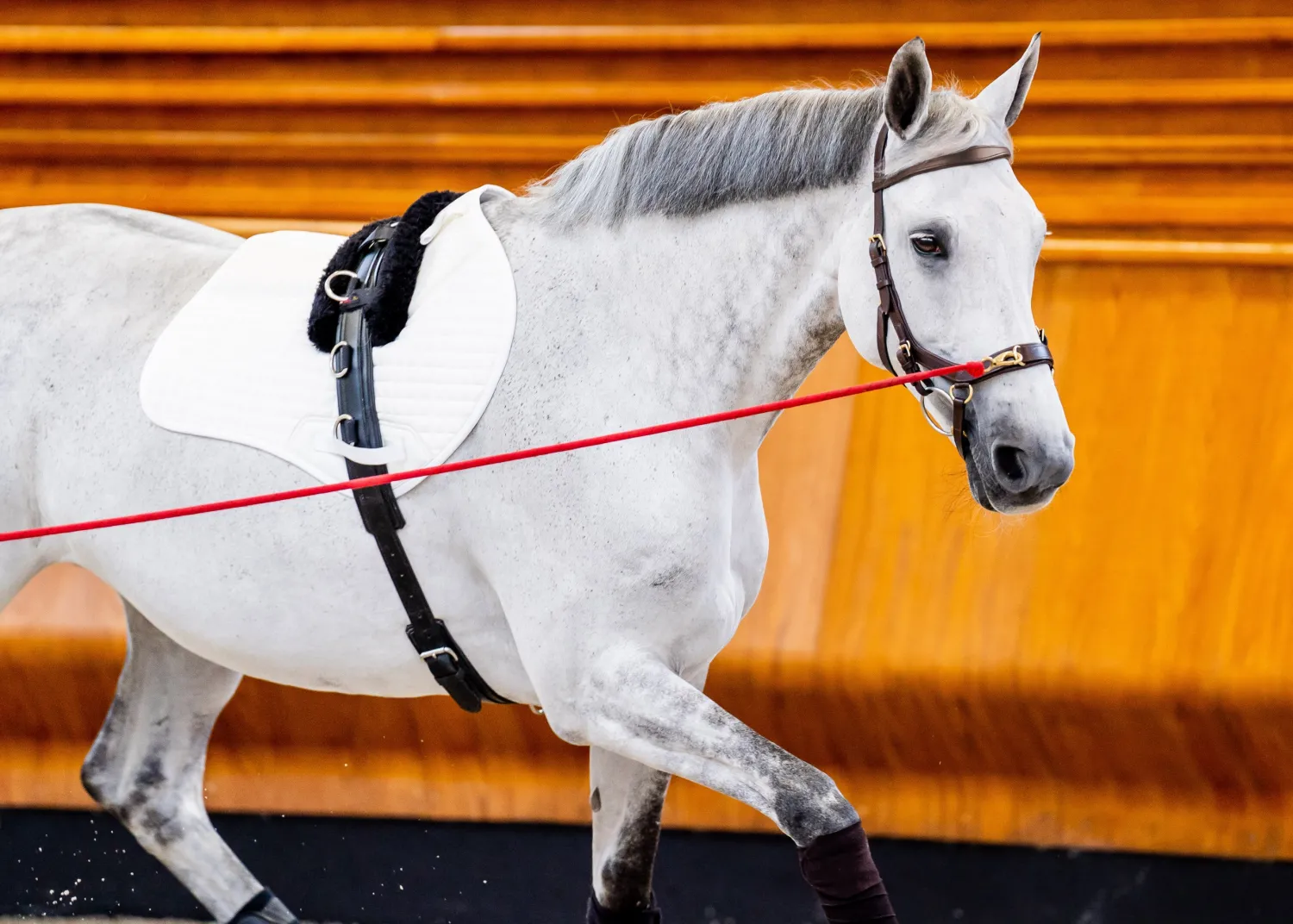 Online HORSEWARE ® Ireland Micklem2 Multibridle USA with Reins
