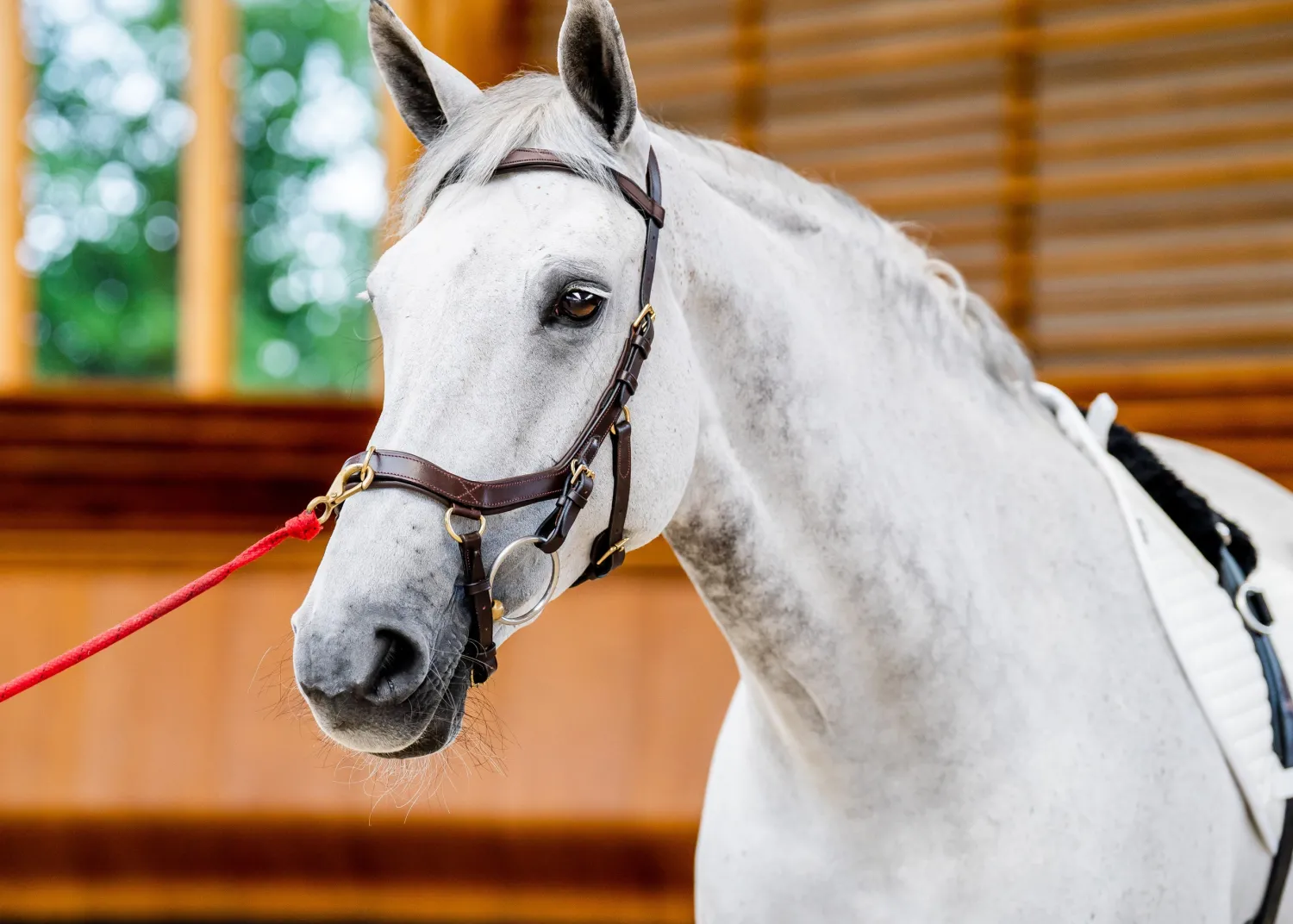 Online HORSEWARE ® Ireland Micklem2 Multibridle USA with Reins