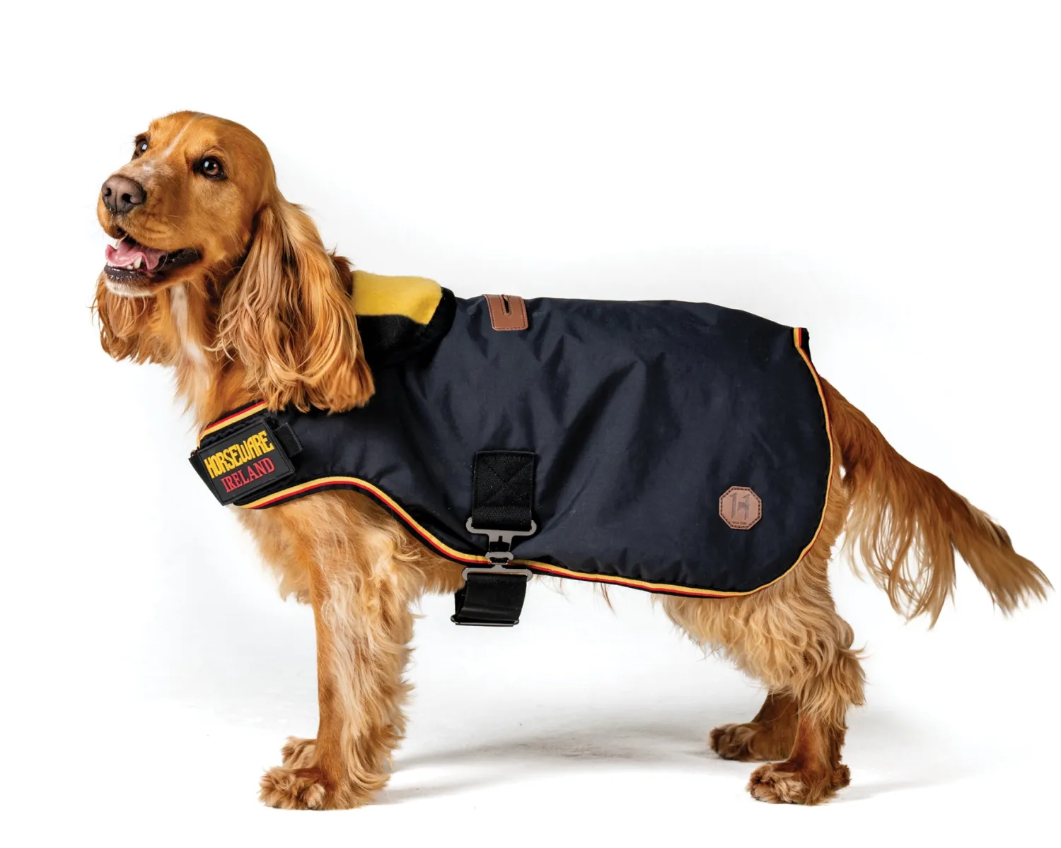 Clearance HORSEWARE ® Ireland Newmarket Dog Coat XXS-M