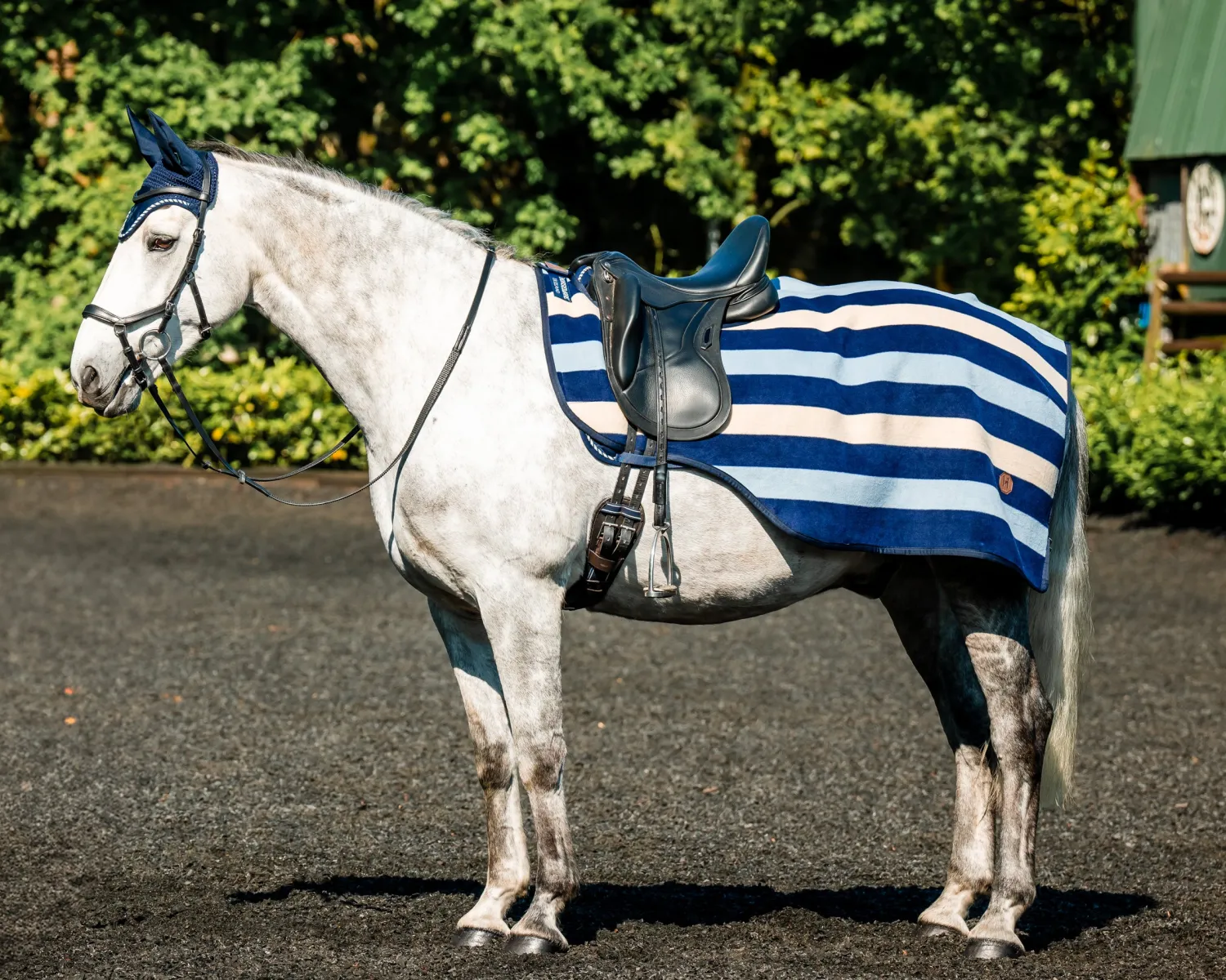 Sale HORSEWARE ® Ireland Newmarket Exercise Sheet
