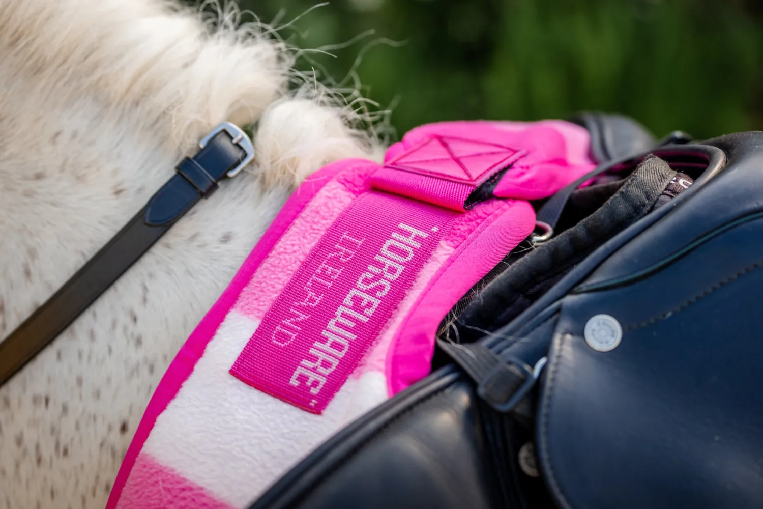Sale HORSEWARE ® Ireland Newmarket Exercise Sheet