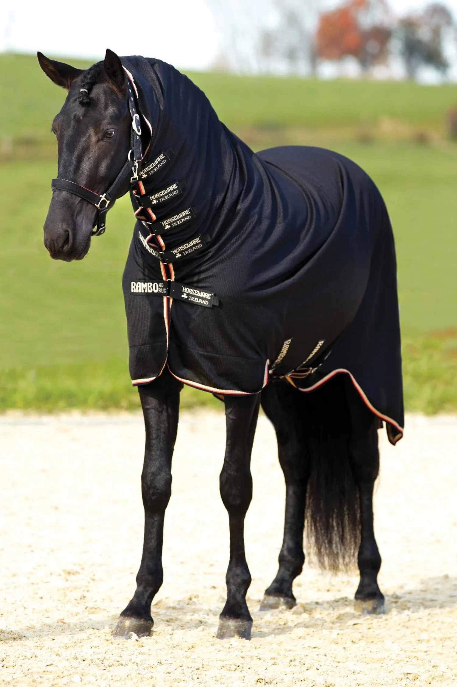 Discount HORSEWARE ® Ireland Rambo® Dustbuster