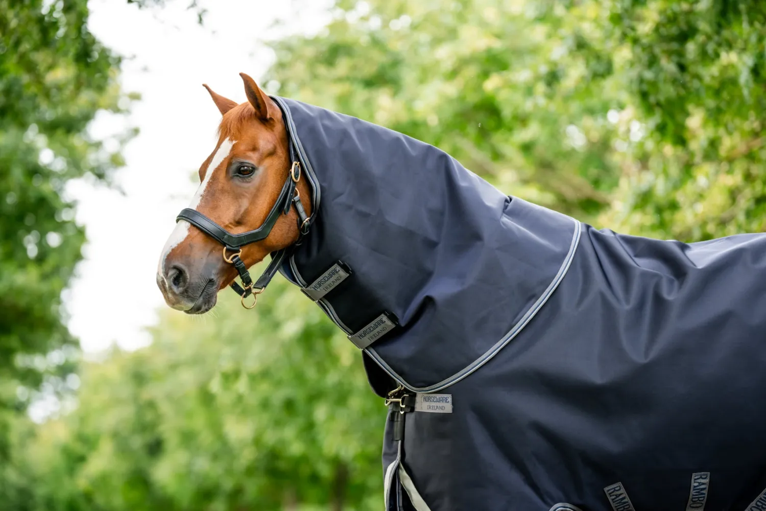 Discount HORSEWARE ® Ireland Rambo® 1680D Vari-Layer Plus Heavy Turnout–450g
