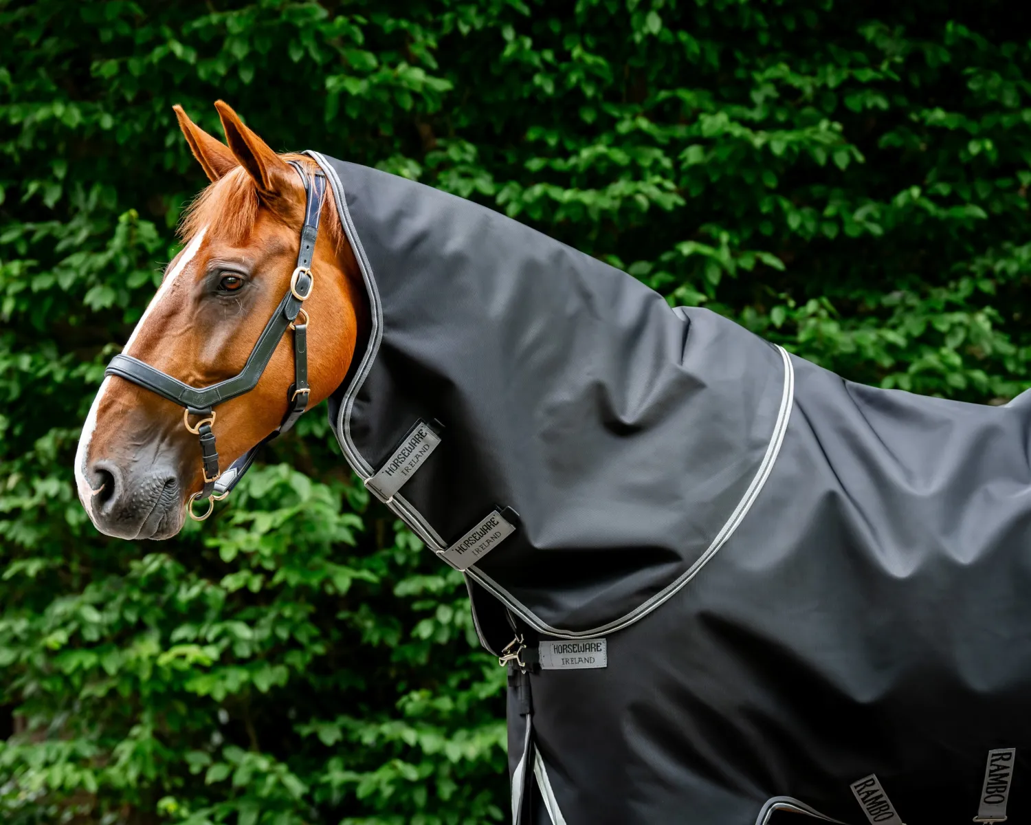 Discount HORSEWARE ® Ireland Rambo® 1680D Vari-Layer Plus Heavy Turnout–450g