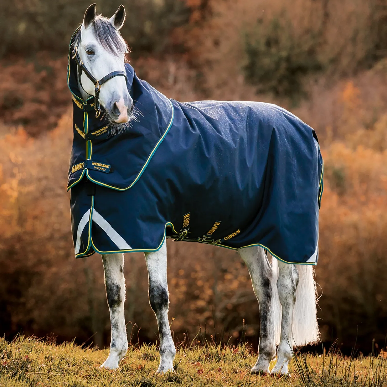 Online HORSEWARE ® Ireland Rambo® Duo Force 2.0 Turnout Blanket Navy/Teal