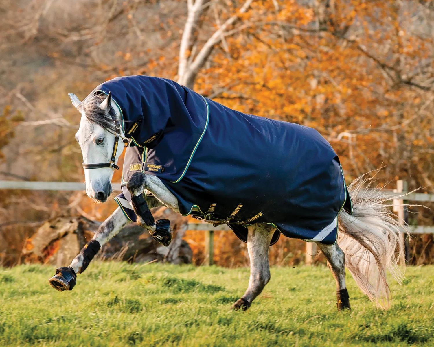 Online HORSEWARE ® Ireland Rambo® Duo Force 2.0 Turnout Blanket Navy/Teal