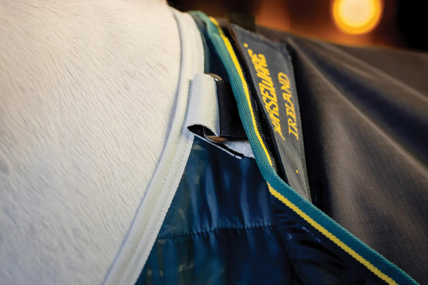 Online HORSEWARE ® Ireland Rambo® Duo Force 2.0 Turnout Blanket Navy/Teal