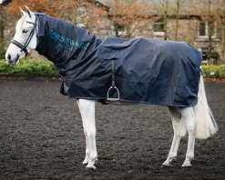 Online HORSEWARE ® Ireland Rambo® Mack in a Sack