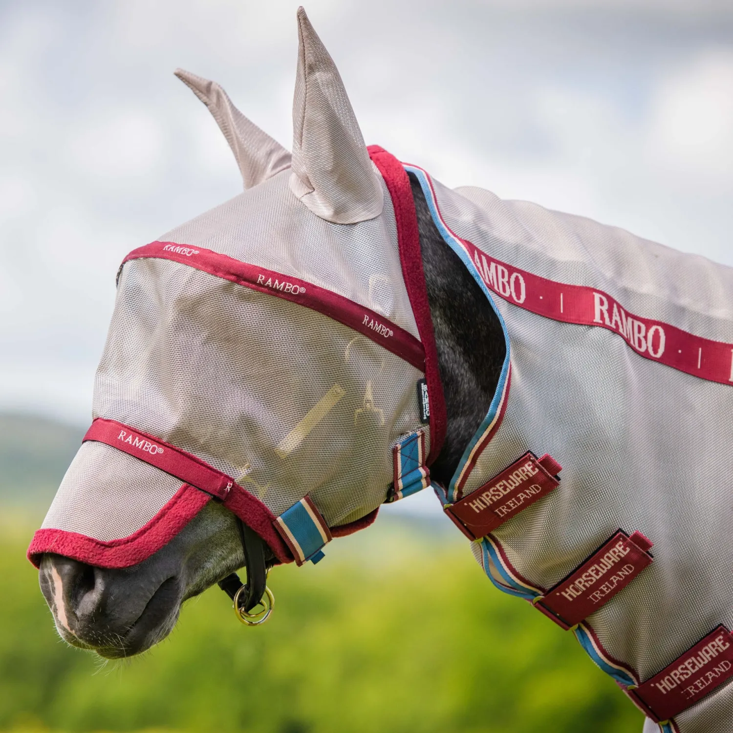 Online HORSEWARE ® Ireland Rambo® Plus Fly Mask
