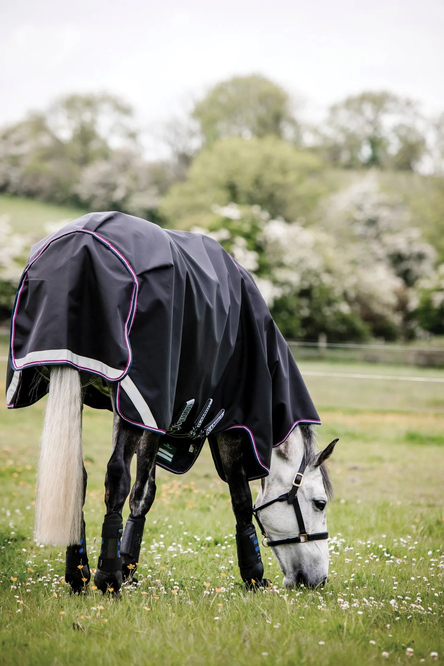 Discount HORSEWARE ® Ireland Rambo® Supreme Medium-Weight Vari-Layer® Turnout Blanket Navy/Burgundy/Dusty Blue