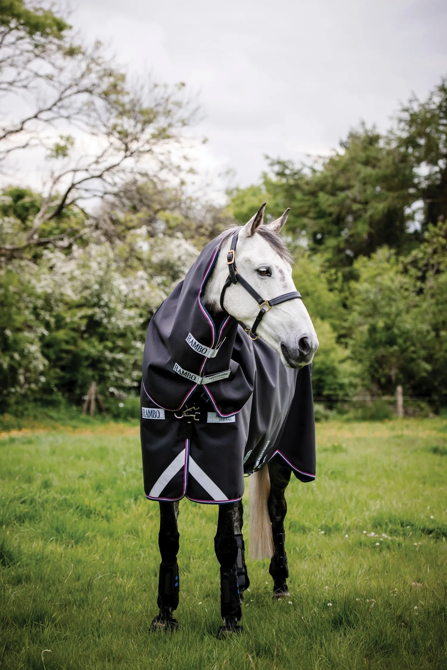 Discount HORSEWARE ® Ireland Rambo® Supreme Medium-Weight Vari-Layer® Turnout Blanket Navy/Burgundy/Dusty Blue