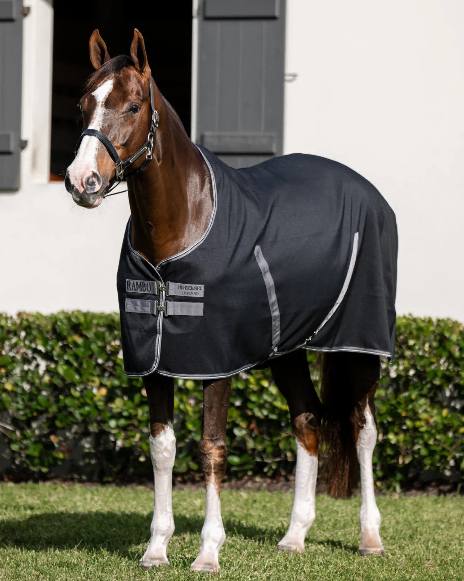 Sale HORSEWARE ® Ireland Rambo® Stable Sheet with Embossed Lining