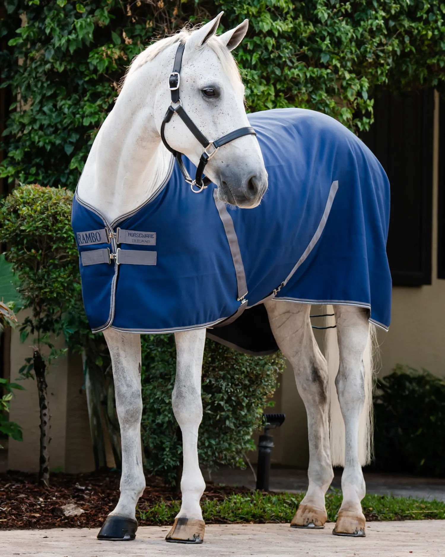 Sale HORSEWARE ® Ireland Rambo® Stable Sheet with Embossed Lining