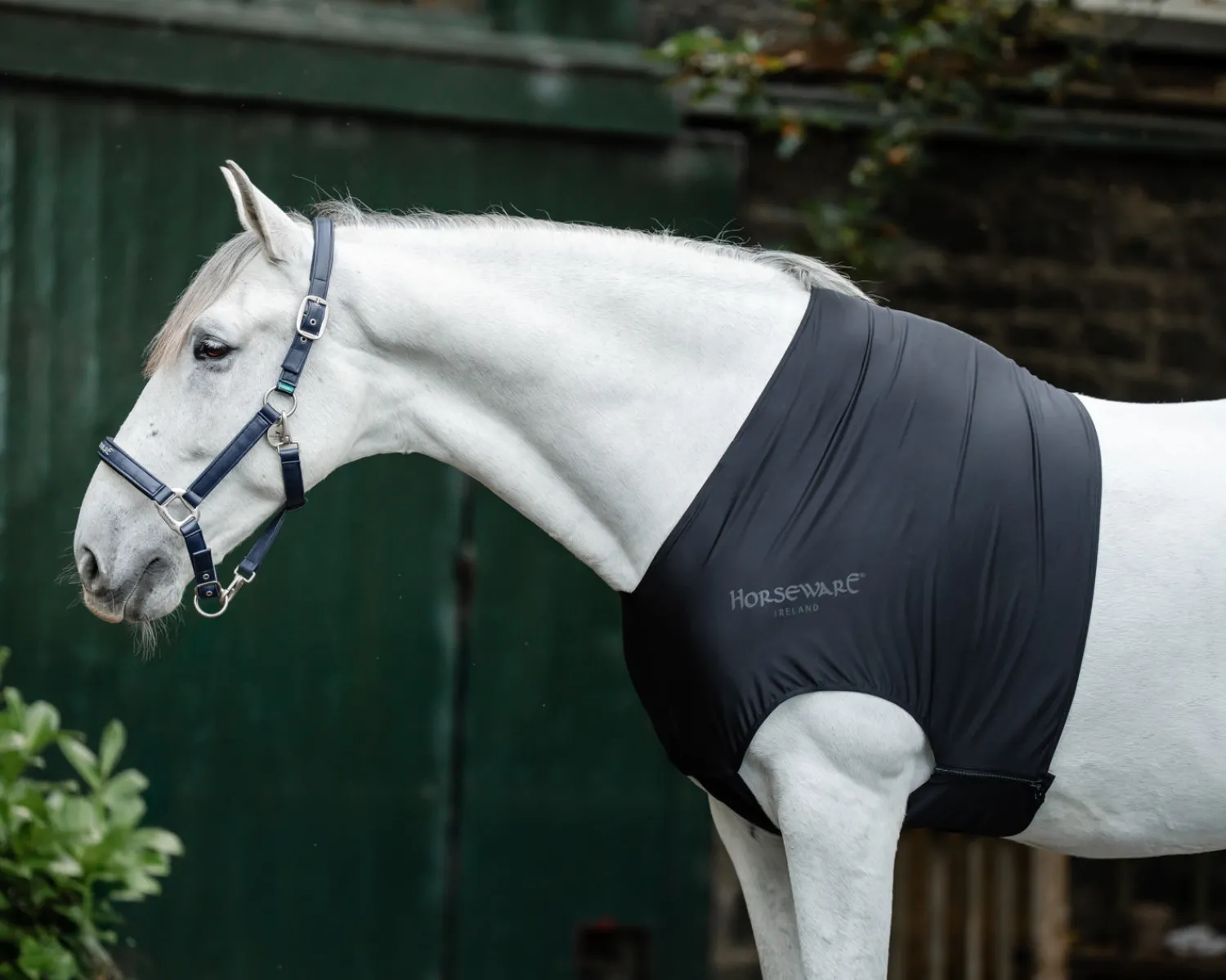 Best HORSEWARE ® Ireland Rambo® Slinky Shoulder Guard Black