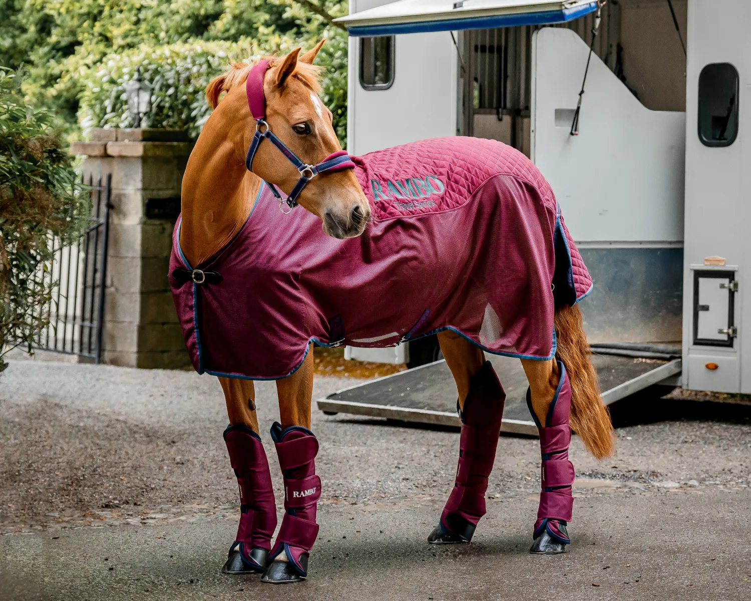 Hot HORSEWARE ® Ireland Rambo® Travel Series Sheet