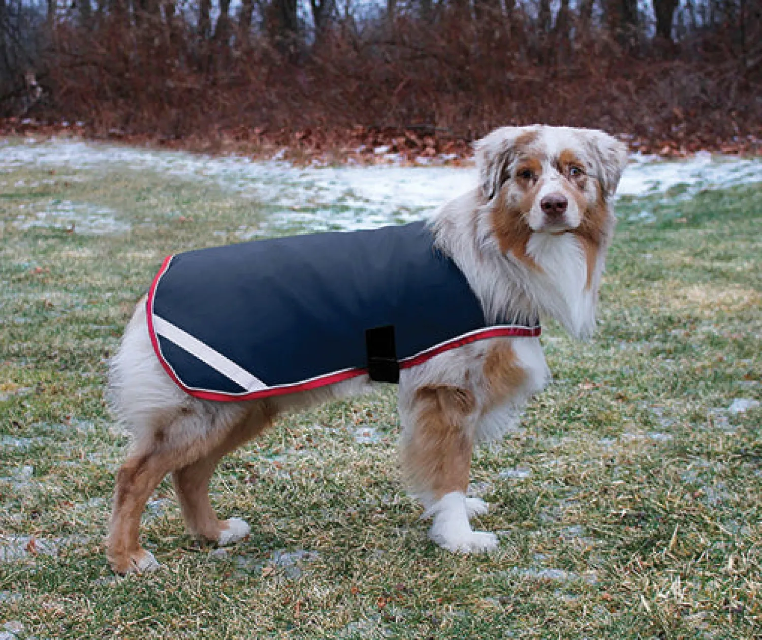 Outlet HORSEWARE ® Ireland Rambo® Waterproof Dog Blanket