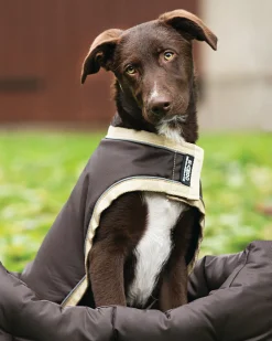 Outlet HORSEWARE ® Ireland Rambo® Waterproof Dog Blanket