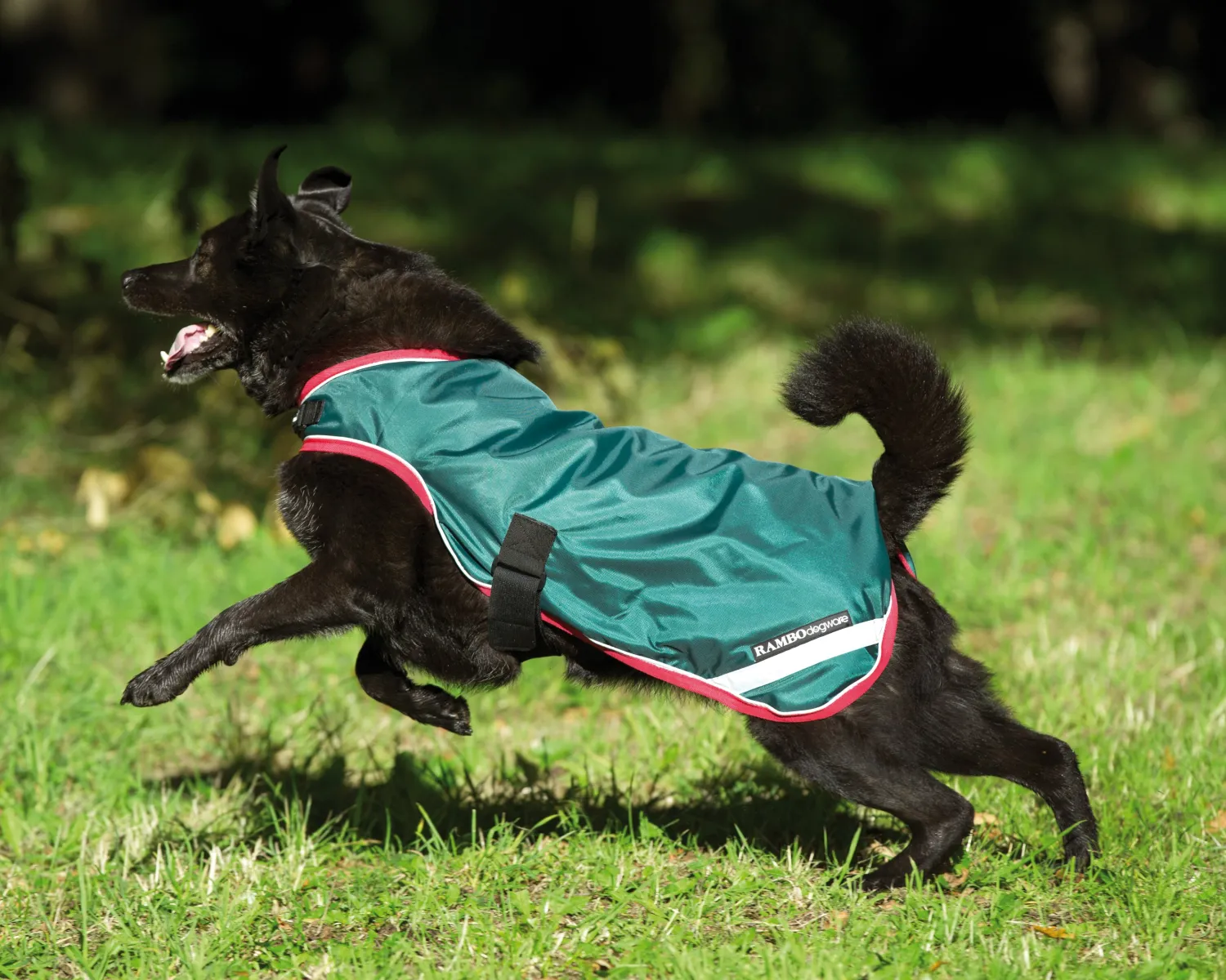 Outlet HORSEWARE ® Ireland Rambo® Waterproof Dog Blanket