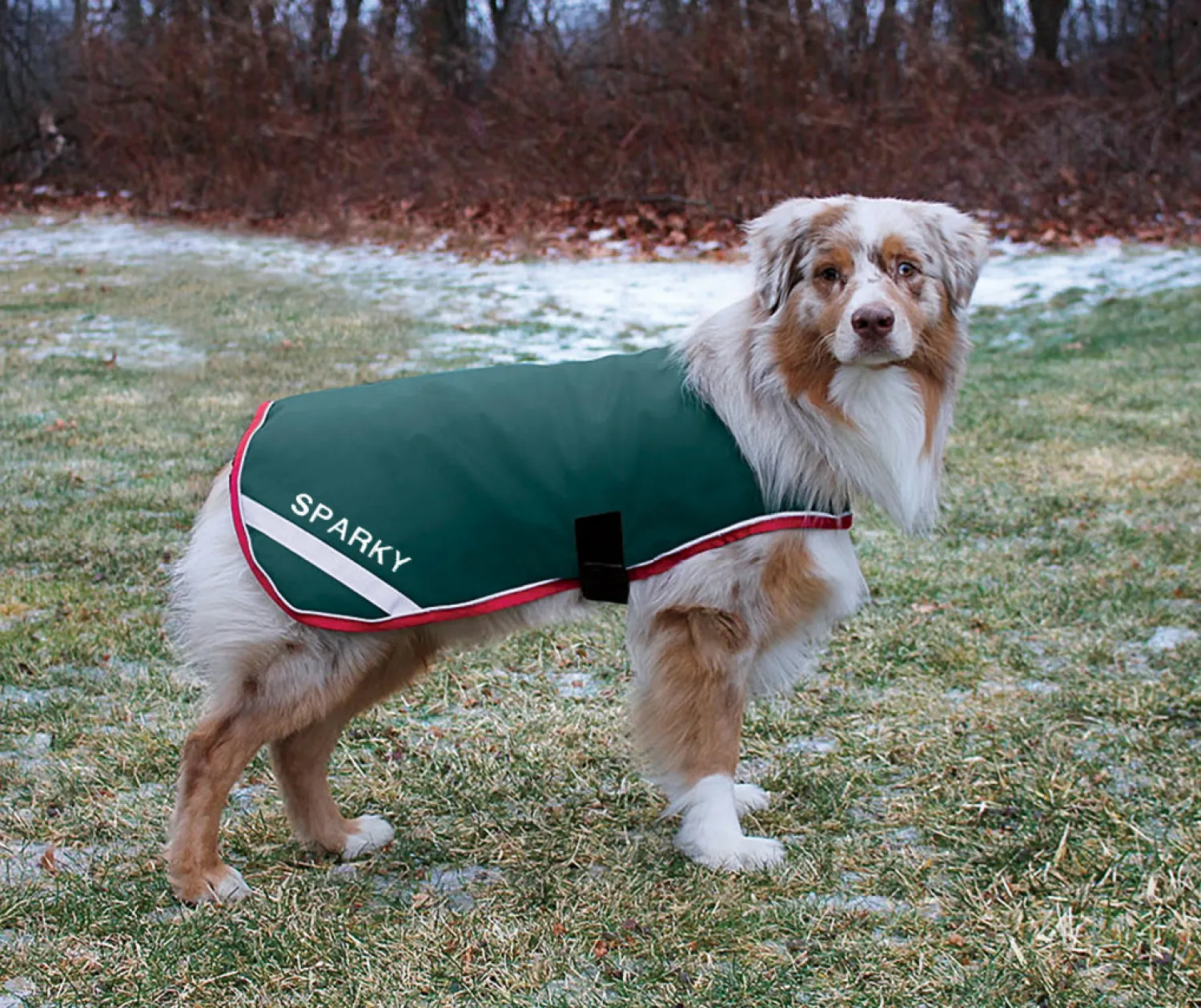 Outlet HORSEWARE ® Ireland Rambo® Waterproof Dog Blanket