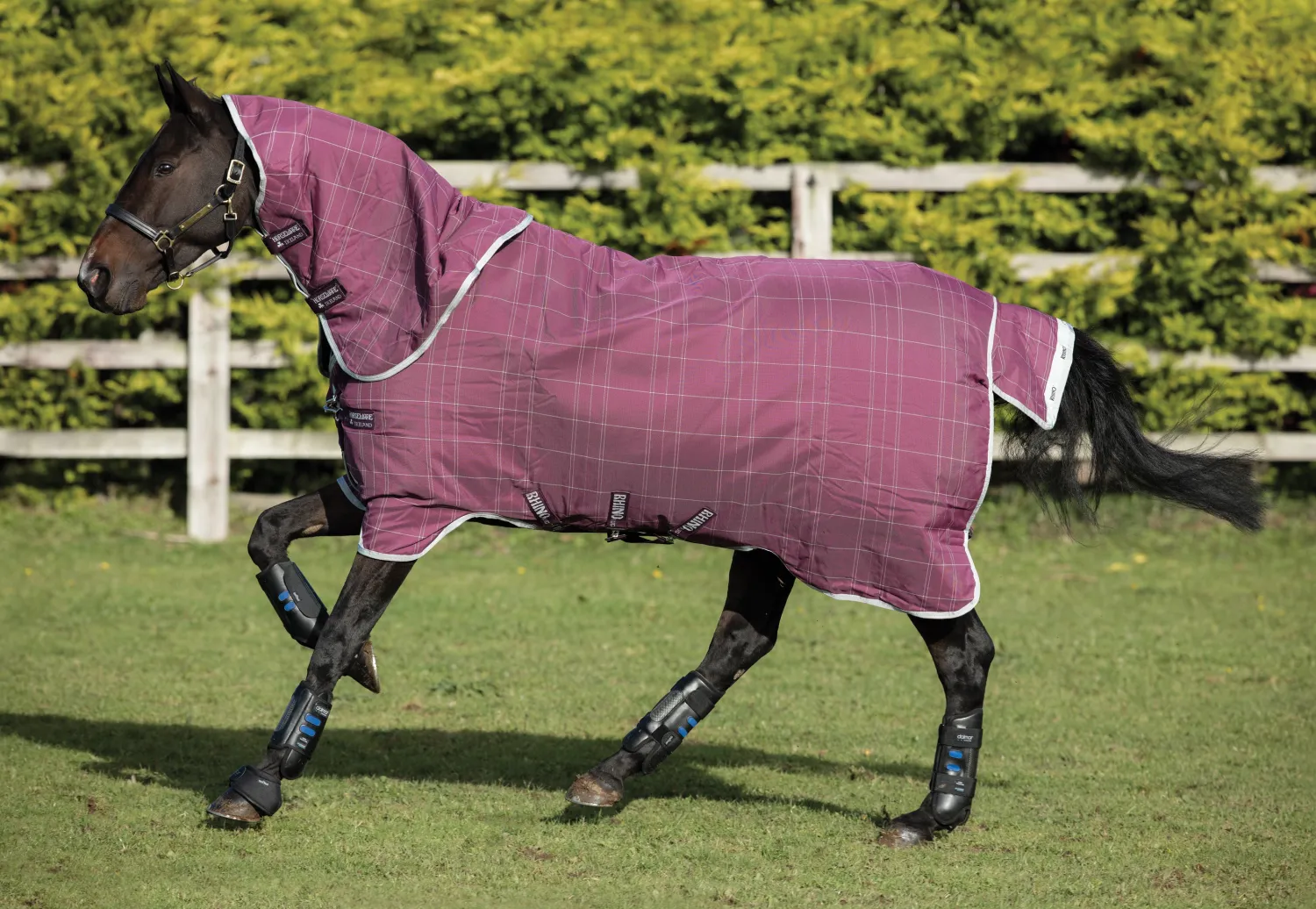 New HORSEWARE ® Ireland Rhino® Plus Heavyweight Blanket with Vari-Layer®